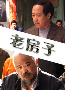 午夜精品一区二区三区在线播放